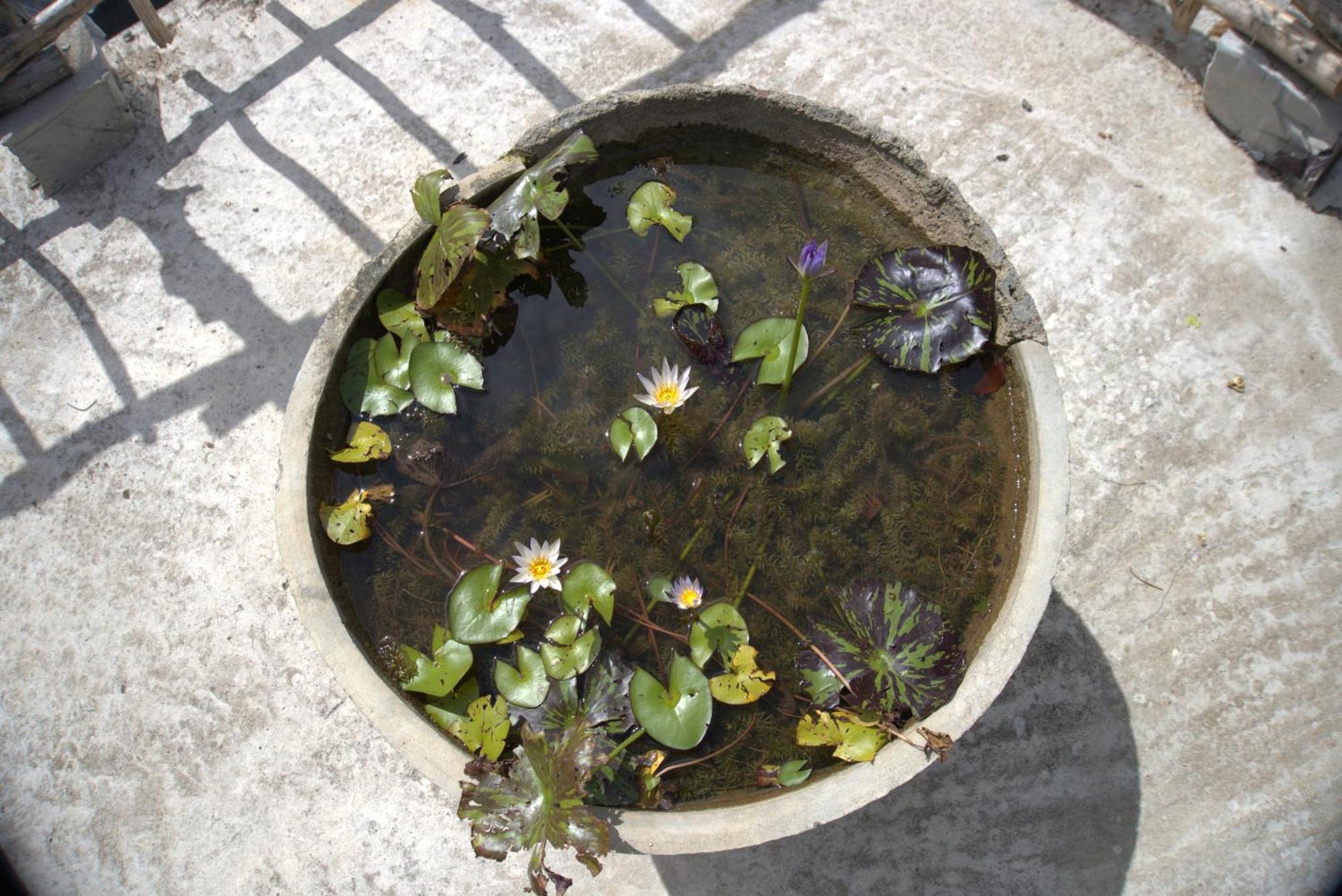 Passionfruit Homestay Matara Dış mekan fotoğraf